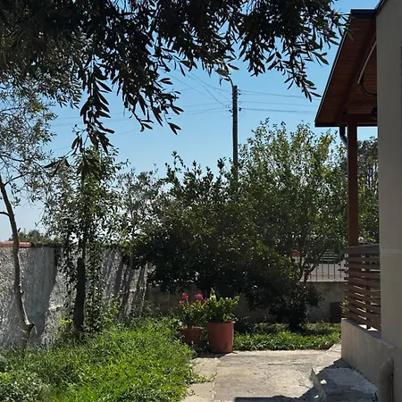 Apartment Vivi In Vilun